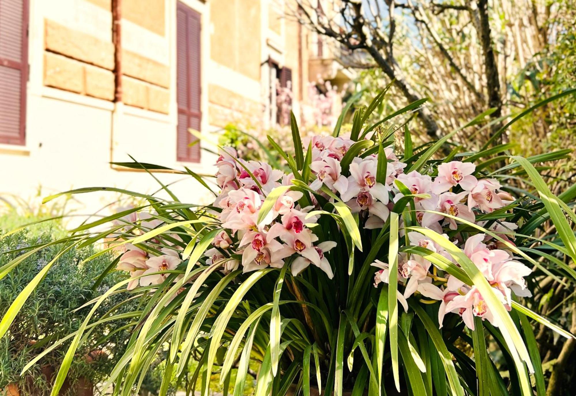 Villa Michelangelo Deluxe, Rome